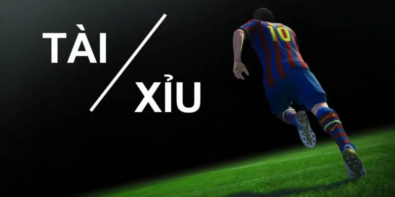 cách cá độ bóng đá tài xỉu